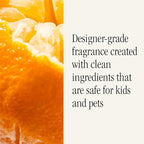 Pura & Simplicity Home Scent Refill - Smart Air Diffuser - Long-Lasting Luxury Fragrance per Refill - Home Essential - Clean & Safe Diffuser Fragrance - 2 Pack, Orange
