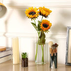 Fixwal 12pcs Clear Glass Cylinder Flower Vases, 4, 6, 8, 10 Inch Tall Cylinder Vases for Centerpieces, Glass Flower Vase Floating Candle Holder Vase for Table Shelf, Party, Wedding, Home Decor