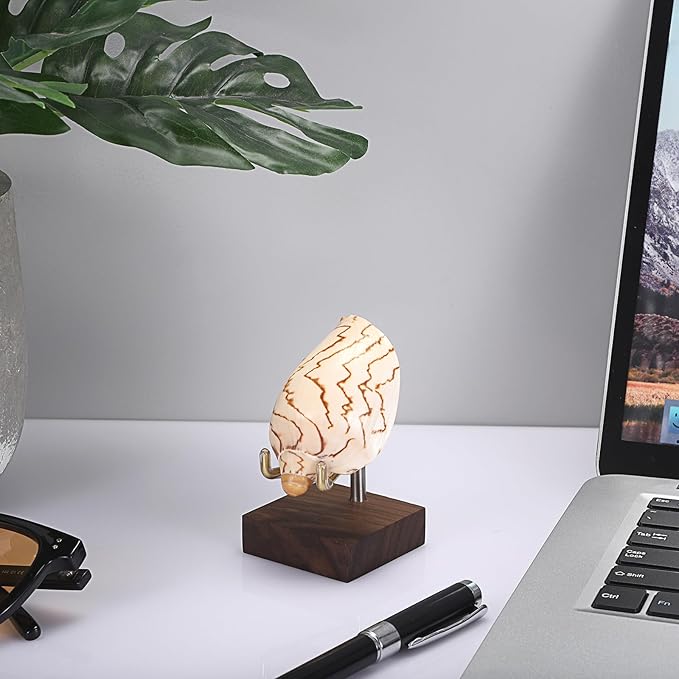 Hipiwe 2Pcs Small Display Stand Adjustable Metal Arms and Wooden Base - Decorative Plates Display Stand Easel Holder for Crystal Fossil Slice Coral Geodes Rock Mineral Agate, 2"x2"x3.2"