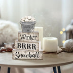 Moucuny 4 Pcs Winter Table Decorations Winter Tiered Tray Decor Christmas Table Centerpiece Rustic Decorative Snowball Snow Bucket Block Sign Farmhouse Christmas Decorations for Home Kitchen Shelf