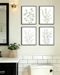 Drsoum Botanical Plant Framed Wall Art Boho Wall Decor for Bathroom Sage Green Eucalyptus Leaf Prints Minimalist Aesthetic Ready to Hang Set of 4, 8x10 in (Black Framed)