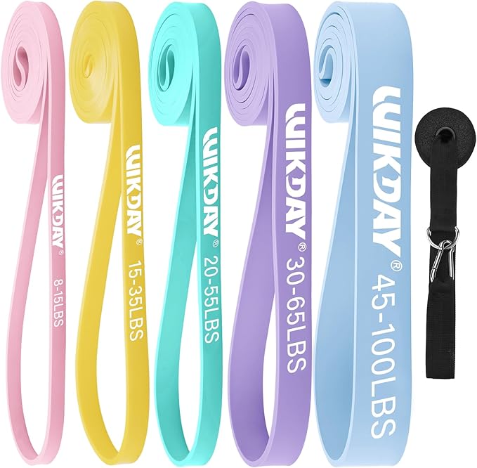 Resistance Bands, Pull Up Bands, Workout Bands for Exercise, Thick Heavy Resistance Band Set with Door Anchor, Elastic Bands for Body Stretching, Training at Home/Gym for Men & Women