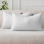 MIULEE Set of 2 Throw Pillow Inserts 12x24 Inches, Nowoven Decorative Pillow Inserts for Living Room