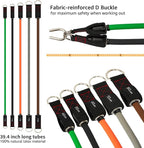 TheFitLife Exercise Resistance Bands with Handles - 5 Fitness Workout Bands Stackable up to 110/150/200/250/300 lbs, Training Tubes with Large Handles, Ankle Straps, Door Anchor, Carry Bag