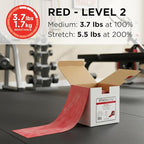 THERABAND Resistance Band 25 Yard Roll, Non-Latex Professional Elastic Stretch Bands for Upper & Lower Body Exercise Workouts, Physical Therapy, Lower Pilates, Flexibility, & Rehab, Dispenser Box