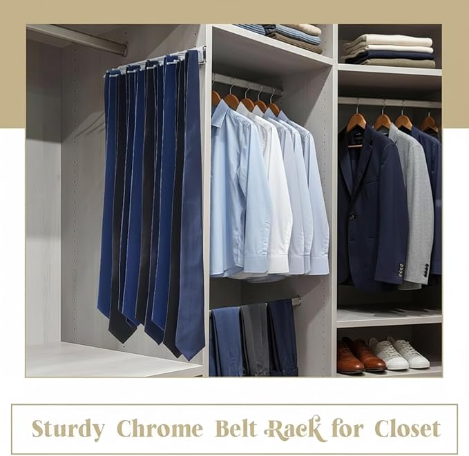 Blulu 1 Pcs 13.8'' Sliding Tie Rack Hanger for Closet, 25 Tie Pull Out Wall Mounted Extending Sturdy Metal Belt Organizer Holder for Men Belt Storage, Sliver