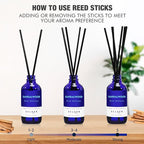 Xcleen Reed Diffuser Set with Sticks, Sandalwood Scented Oil Diffuser for Bathroom, Room Fresheners, Home Fragrance Bedroom Office Decor & Gift