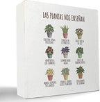 kunlisa Mental Health What Plants Teach Us Spanish Potted Plant Wooden Box Sign Desk Decor,Rustic Wood Block Plaque Box Sign for Therapy Office School Counseling Office Wall Shelf Tabletop Decoration