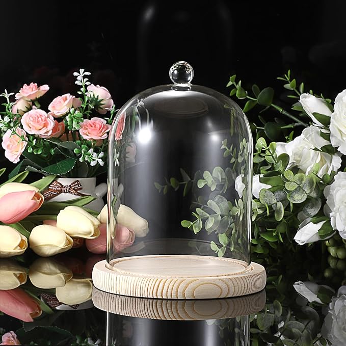 JUXYES Glass Display Dome Cloche with Wood Base, Clear Glass Dome Cloche Bell Sphere Jar Snow Globe Kit, Snowglobe Cloche Bell Jar Display for Fairy Light Plant Collectible Figures