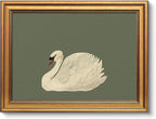 VIYYIEA Vintage Gold Framed Wall Art for Living Room, Swan Canvas Prints Home Decor, Oil Painting Picture, Bedroom Wall Decor Gifts for Friends or Family -【Swan Green】-(16L x 12W)