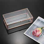 Hipiwe Glass Keepsakes Display Box Jewelry Organizer Box with Lid Decorative Glass Box Clear Rectangle Storage Box for Trinket Perfume Collection Gift for Birthday Anniversaries,Rose Gold Large