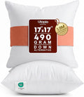 Utopia Bedding 17x17 Pillow Inserts, Set of 2, White – Indoor Decorative Throw Pillows for Bed, Sofa & Couch – Soft, Supportive & Fluffy Cushion Inserts