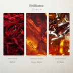 Scentiment Diffuser Oil - Brilliance Designer Collection | Aromatherapy Home Fragrance | Luxurious Scent with Notes of Saffron, Amberwood, Fir Resin (120 mL)