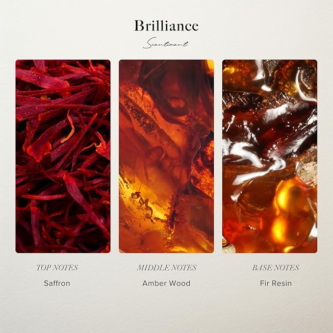 Scentiment Diffuser Oil - Brilliance Designer Collection | Aromatherapy Home Fragrance | Luxurious Scent with Notes of Saffron, Amberwood, Fir Resin (120 mL)