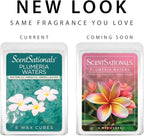 Scentsationals Plumeria Waters Scented Wax Melts - Waterlily, Hibiscus, & Green Leaves, 10oz (24 Cubes)