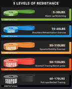 SUNPOW Pull Up Assistance Bands - Set of 5 Resistance Heavy Duty Workout Exercise Stretch Fitness Bands Assist Set for Body, Instruction Guide and Carry Bag Included