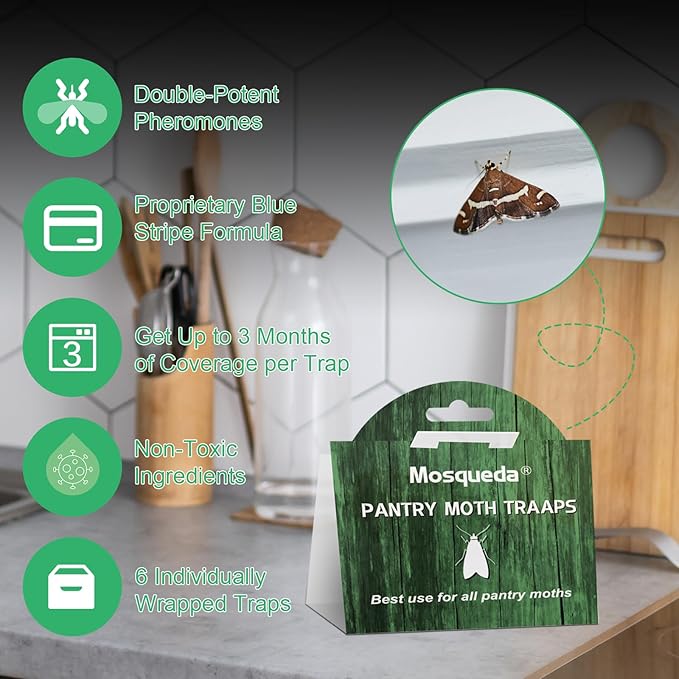 Pantry Moth Traps for Kitchen & Food Storage – 10 Pack Pheromone Sticky Traps for Pantry Moths, Non-Toxic Odorless Moth Catcher for Cabinets, Pantry & Closets