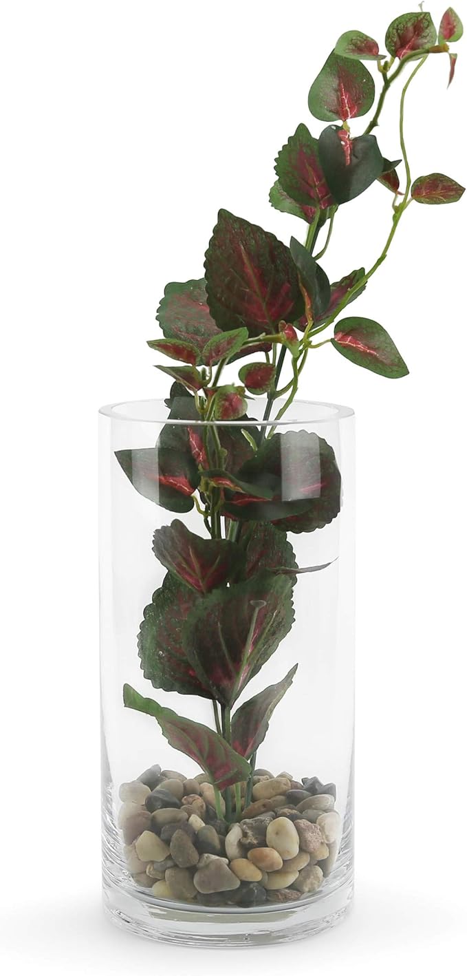 WGVI Quality Thick Weighted Clear Cylinder Glass Vases, 4" W x 8" H, Flower Arrangement Floating Candle Holders Wedding Centerpieces Terrarium Planter Floral Storage Container, Bulk Wholesale, 12 Pcs