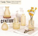 36Pcs Bud Vases Set Small Vintage Glass Bottles Bud Vases in Bulk Multiple Shape Cute Glass Vases for Rustic Wedding Centerpieces Table Decorations and Home Decor (Champagne)