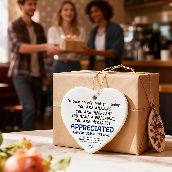 in Case Nobody Told You Today: You are Amazing, Important & Make a Difference - Affirmations Sign | Office Gift, Appreciation Gifts, Thank You Gifts, Going Away, Retirement Gift | Christmas Ornament