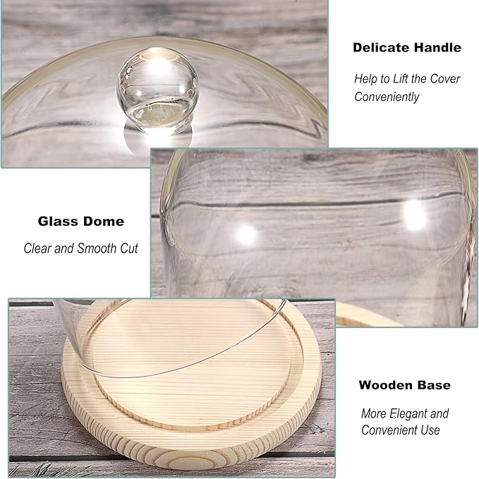 JUXYES Glass Display Dome Cloche with Wood Base, Clear Glass Dome Cloche Bell Sphere Jar Snow Globe Kit, Snowglobe Cloche Bell Jar Display for Fairy Light Plant Collectible Figures