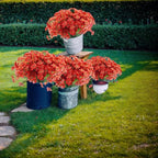 12Pcs UV Resistant Artificial Flowers Artificial Violet Outdoor Decor Realistic Faux Plants Silk Flowers No Fade for Patio Hanging Baskets Garden Pots Farmhouse Yard (Big Red)