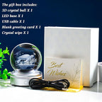 Movdyka Sea Turtle Gifts for Women Men 3D Sea Turtle Decor Statue Crystal Ball Night Light, Laser Engraved Sea Turtle Ornament Figurine Glass Snow Globe Room Decorations Crafts
