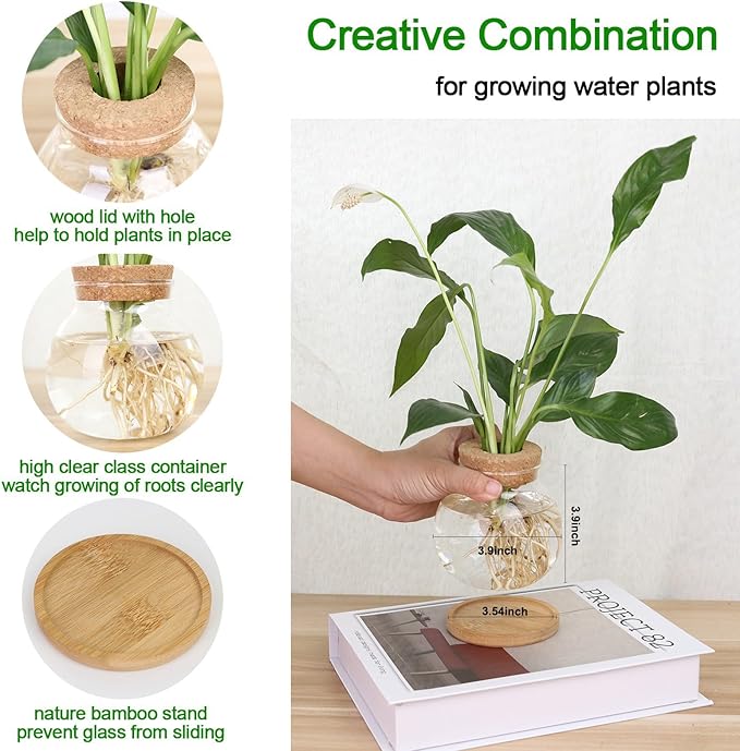 Plant Propagation Station,Hydroponic Glass Container Vase Jars, with Wooden Saucer for Desks, Houses, Garden Decorations, Home Kitchen Decorations and Gifts for Plant Lovers (6)