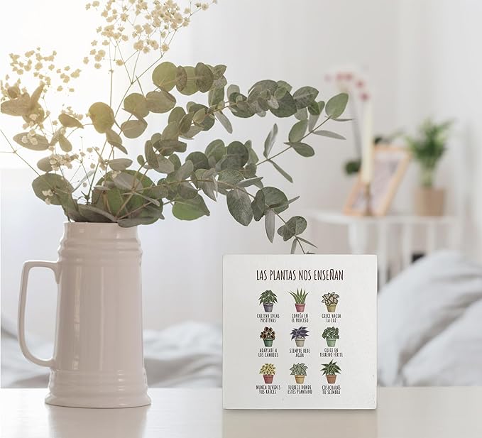 kunlisa Mental Health What Plants Teach Us Spanish Potted Plant Wooden Box Sign Desk Decor,Rustic Wood Block Plaque Box Sign for Therapy Office School Counseling Office Wall Shelf Tabletop Decoration