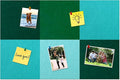 Square Felt Cork Bulletin Board Tiles, Self Adhesive DIY Felt Pin Board for Wall 30" x 20" with 35 Pushpins for Office School Home Wall Decor Stickers Memos Photos Display (Gradual Green)