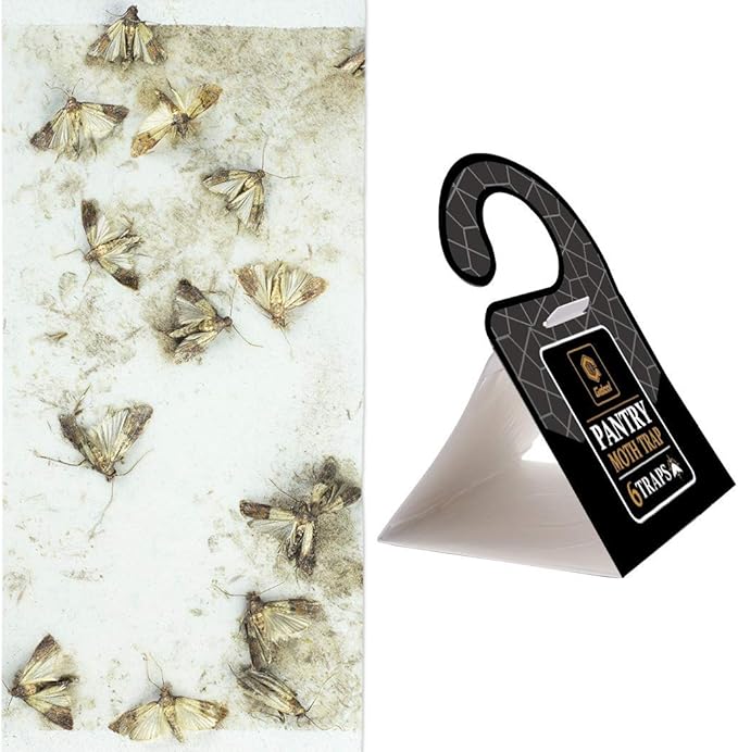 GIDEAL Pantry Moth Trap with Pheromones Prime for House Kitchen Food Cupboard 6 Pack (Grain Moth)