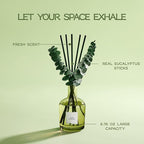 COCORRÍNA Olive Blossom Reed Diffuser – 6.76 oz Essential Oil with 8 Reeds & Real Eucalyptus Sticks, Home Fragrance for Bedroom or Bathroom Décor