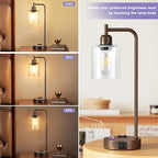 Innqoo Industrial Touch Table Lamps - 3-Way Dimmable Desk Lamps Set of 2 with USB C+A Ports and Outlet, Brown Bedside Lamps with Clear Glass Shade for Living & Bedrooms