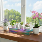 Sezanrpt Acrylic Shelf Riser 12x4.3x2 pack of 2, Iridescent Display Shelf 12” for Shoes, Glasses, Plants, Home Decors, Perfume, 12x4.3x2 Inch
