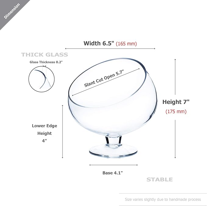 WGV Slant Cut Bowl Glass Vase with Stand, Width 6.5", Height 7", Clear Planter Terrarium, Candy Dish, Fruit Jar for Wedding Party Event, Home Office Decor, 1 Piece