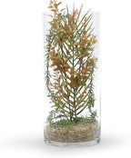 WGV Cylinder Vase Bulk, Width 7", Height 16", Clear Wide Large Diameter Flower Glassware, Floral Container, Planter Terrarium for Wedding Party Event, Home Accent Decor, 4 Pieces