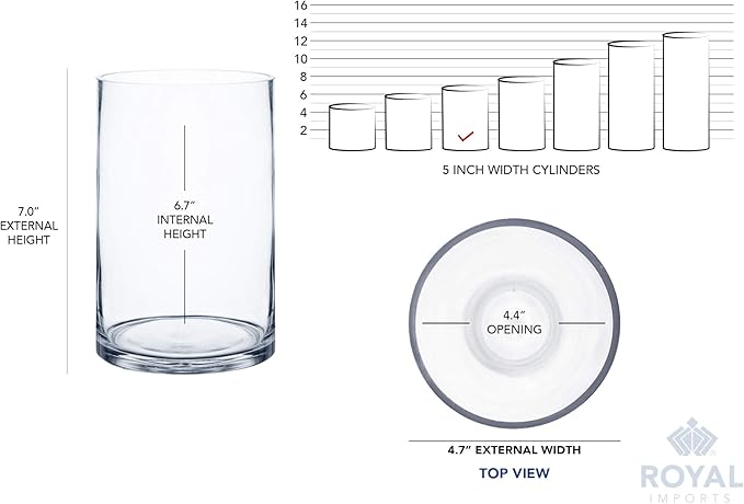 Royal Imports Flower Glass Vase Decorative Centerpiece for Home or Wedding - Cylinder Shape (5" Wide x 7" Tall, Clear)