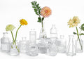 Clear Glass Bud Vases Set of 12, Mini Flower Vase for Centerpieces, Small Vases in Bulk for Wedding Decorations, Vintage Vase for Baby Shower, Party, Recepetion, Home Table Décor