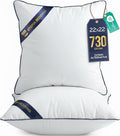 Utopia Bedding Throw Pillow Inserts (Pack of 2, White), 22 x 22 Inches Decorative Indoor Pillows for Sofa, Bed, Couch, Cushion Sham Stuffer