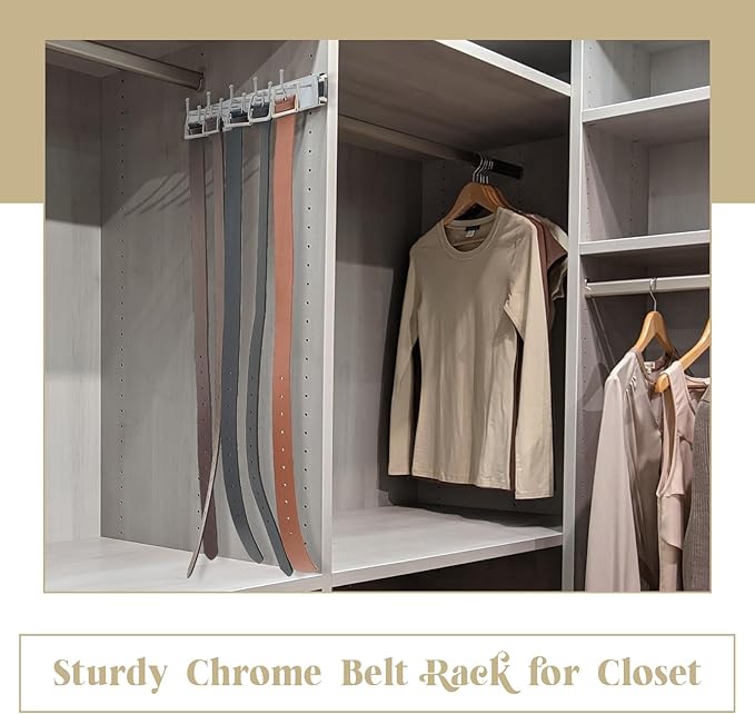 Blulu 2 Pcs 13.8'' Sliding Tie Rack Hangers for Closet, 9(Total 18) Tie Pull Out Wall Mounted Extending Sturdy Metal Belt Organizer Holder for Men Belt Storage, Sliver