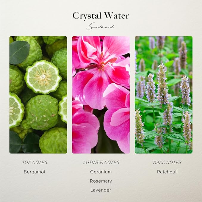 Scentiment Diffuser Oil - Crystal Water Designer Collection | Aromatherapy Home Fragrance | Luxurious Scent with Notes of Bergamot, Geranium, Patchouli (120 mL)