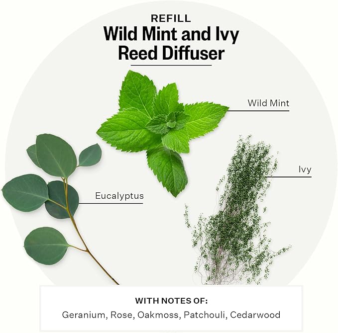 Apotheke Luxury Scented Oil Reed Diffuser Liquid Refill (Wild Mint & Ivy) - Premium Home Fragrance Diffuser Refill Set with Sticks