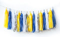 Blue and Yellow Tassel Garland Paper Tissue Tassels Garland for Party Decorations, (Blue,Yellow,Silver,White,20PCS)