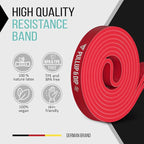 Pullup & DIP Fitness Bands, Resistance Bands with Bag, Door Anchor (with Sets) and Exercise Guide - Single & in Value Set, Pull-Up Band Fitness Band for Calisthenics