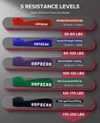 HAPBEAR Pull Up Assistance Bands - Pull Up Bands - Resistance Bands - Exercise Bands Resistance Bands Set of 5 - Workout Bands for Working Out, Stretching, Muscle Training