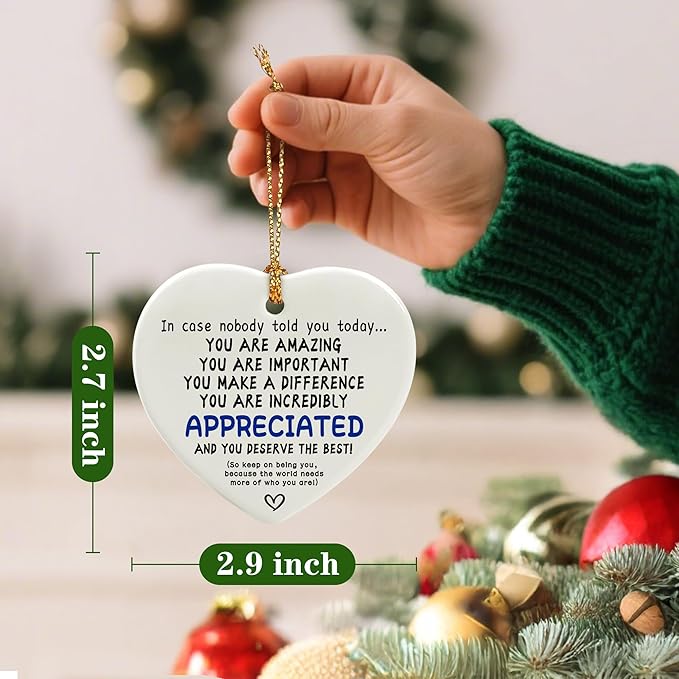 in Case Nobody Told You Today: You are Amazing, Important & Make a Difference - Affirmations Sign | Office Gift, Appreciation Gifts, Thank You Gifts, Going Away, Retirement Gift | Christmas Ornament