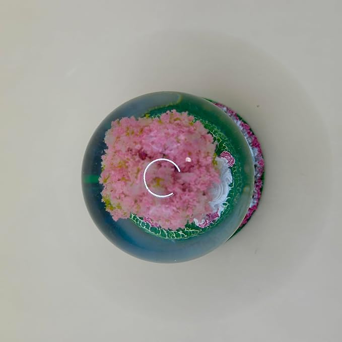 2.75" Washington DC Landmarks Snow Globe, Resin Material, with Cherry Blossom Tree and Glitter, White House, Capitol, and Washington Monument (Cherry Blossom Panorama Mini)