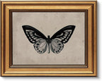 VIYYIEA Vintage Gold Framed Wall Art for Living Room, Black Butterfly Canvas Prints Home Decor, Halloween Gothic Painting Picture, Bedroom Wall Decor Gifts for Friends or Family -(10L x 8W)