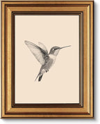 VIYYIEA Vintage Gold Framed Wall Art, Sketch Birds Canvas Painting, Cute but Exquisite Wall Decor, No Glass No Glare, Suitable for Bedside Tables, Foyer, Bookshelves,【Hummingbird】-10L x 8W