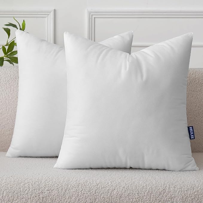 MIULEE Set of 2 Throw Pillow Inserts 16x16 Inches, Nowoven Decorative Pillow Inserts for Living Room